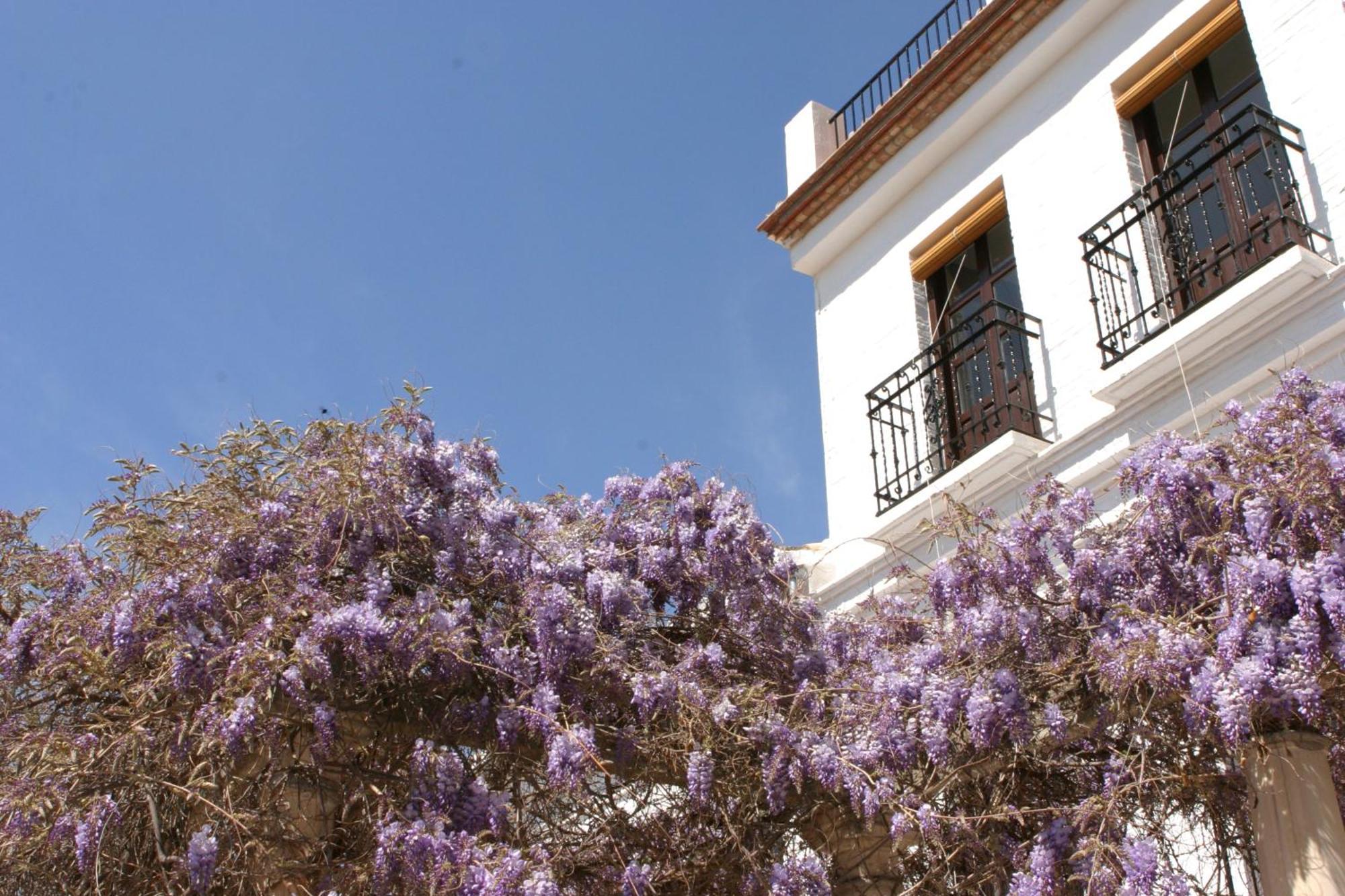 Carmen De La Alcubilla Del Caracol Hotel กรานาดา ภายนอก รูปภาพ
